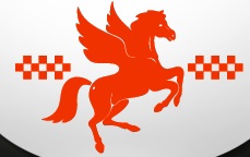 логотип Такси Пегас (Магнитогорск)